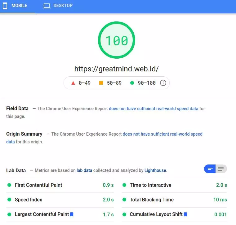 Hasil tes pagespeed